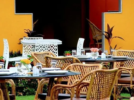Olive Auroville-1