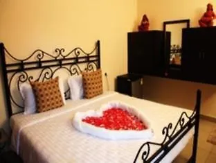 Olive Auroville-2